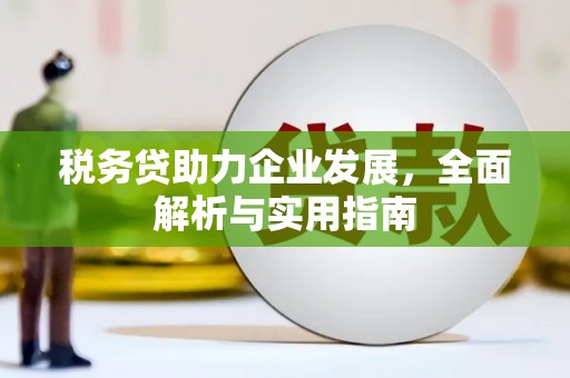 大涌税务贷助力企业发展，全面解析与实用指南
