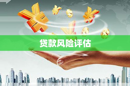 大涌贷款风险评估