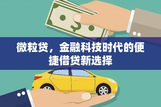 大涌微粒贷，金融科技时代的便捷借贷新选择