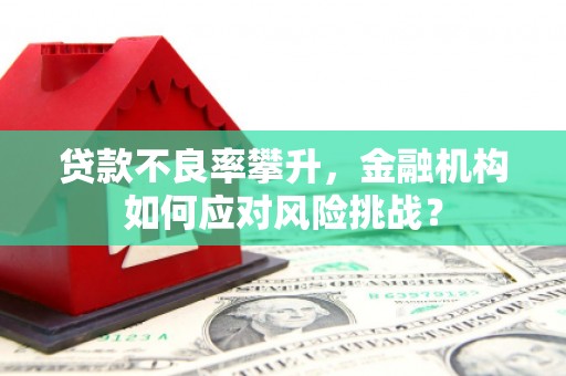 大涌贷款不良率攀升，金融机构如何应对风险挑战？