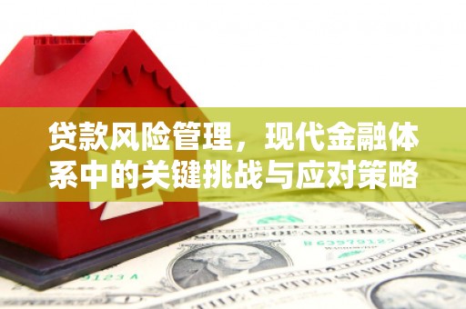 大涌贷款风险管理，现代金融体系中的关键挑战与应对策略
