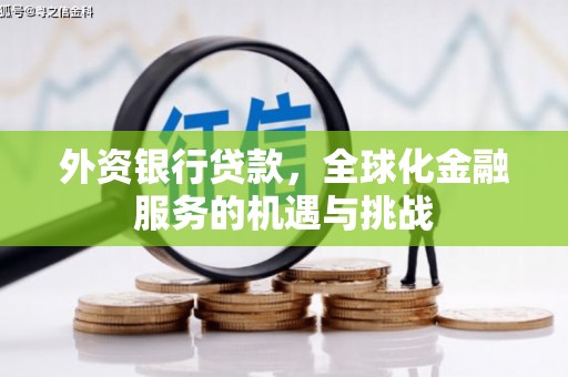 大涌外资银行贷款，全球化金融服务的机遇与挑战