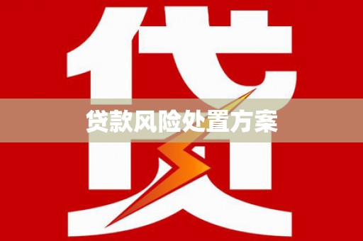 大涌贷款风险处置方案