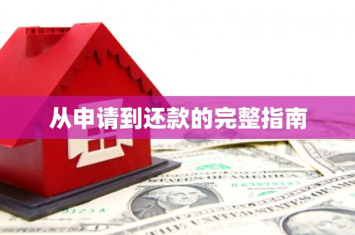 大涌从申请到还款的完整指南