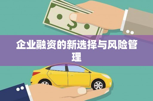 大涌企业融资的新选择与风险管理