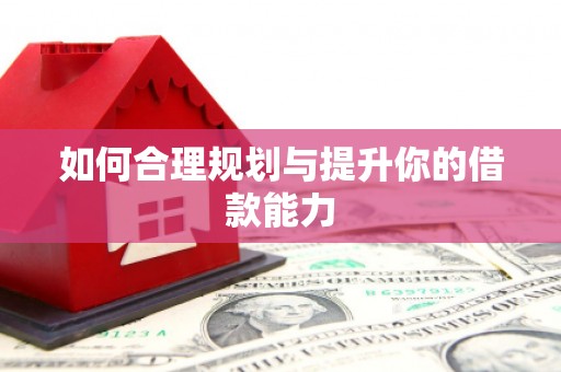 大涌如何合理规划与提升你的借款能力