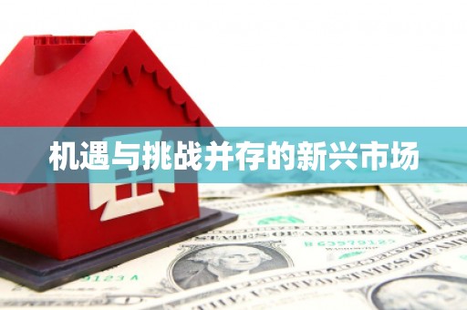 大涌机遇与挑战并存的新兴市场