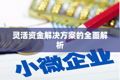 大涌灵活资金解决方案的全面解析